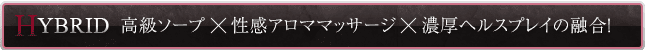 高級ソープ×性感アロママッサージ×濃厚ヘルスプレイの融合！