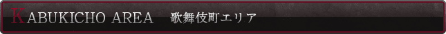 歌舞伎町エリア