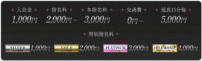 入会金、指名料、延長料金、デリバリー料金、交通費、特別指名料